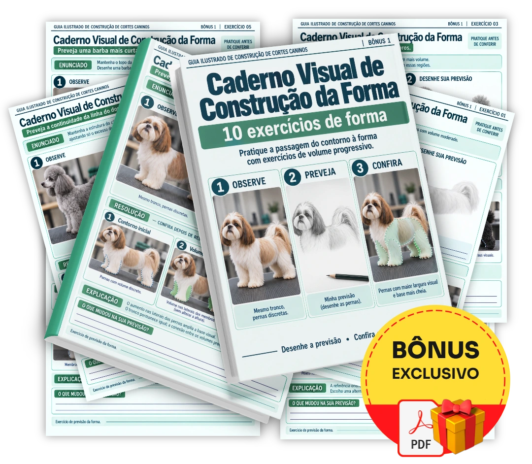 Caderno Visual de Construção da Forma