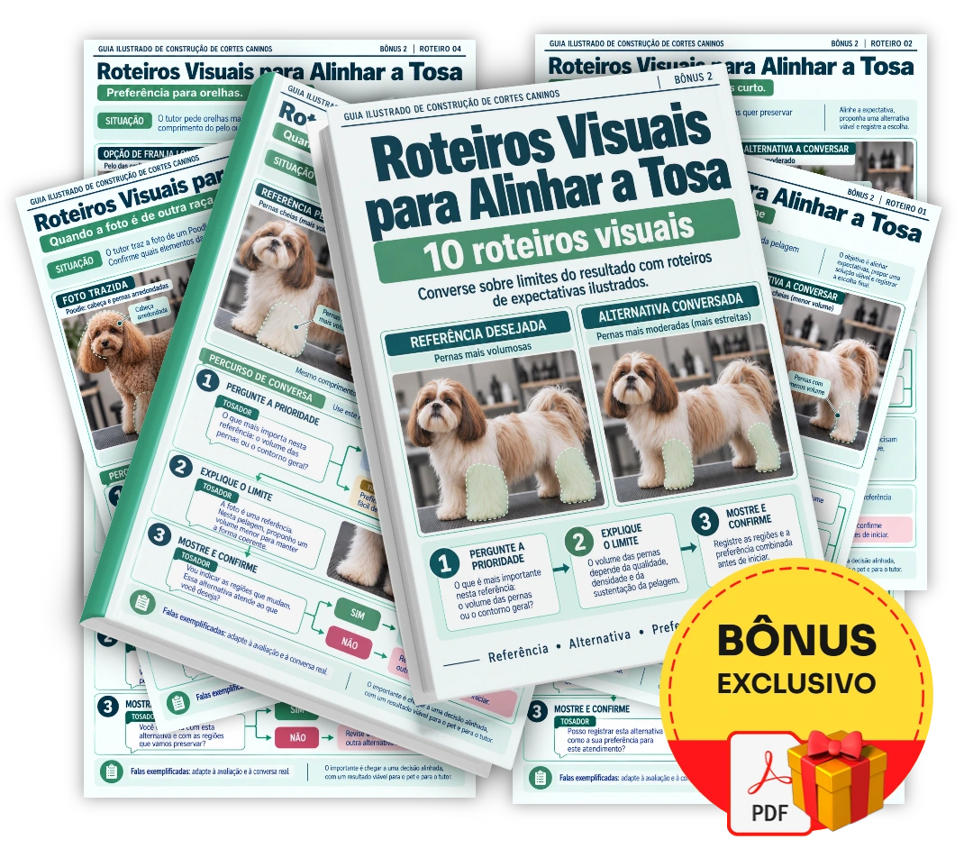 Roteiros Visuais para Alinhar a Tosa